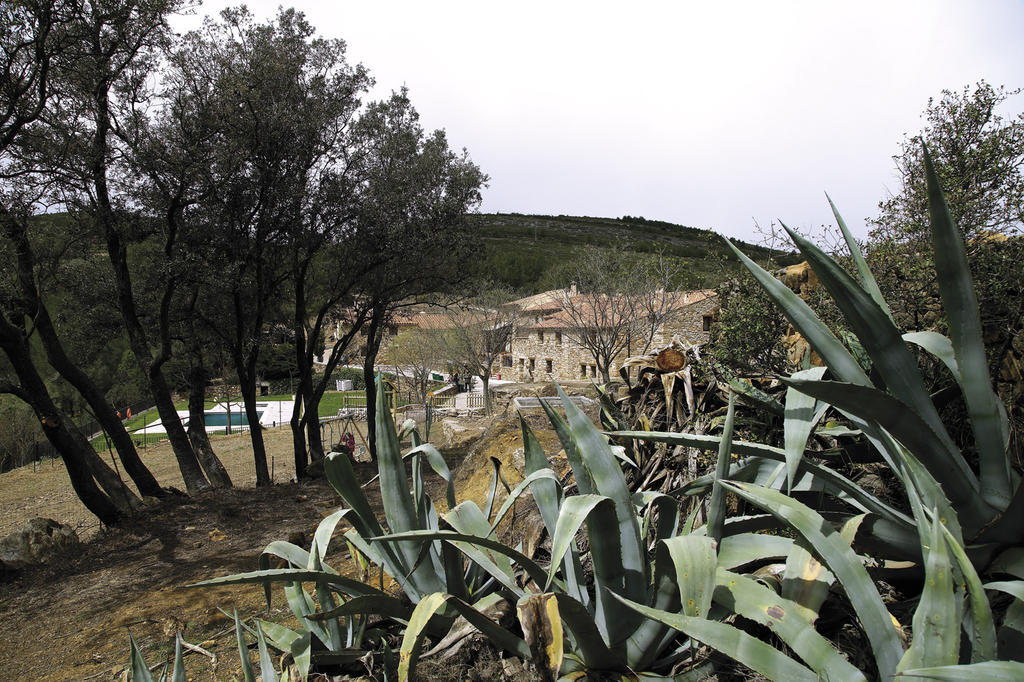El Mangranar 3*